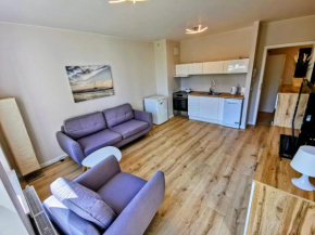 Apartament Krynicka blisko Alfa Centrum - Gdańsk Przymorze